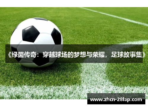 《绿茵传奇：穿越球场的梦想与荣耀，足球故事集》