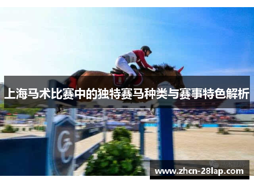 上海马术比赛中的独特赛马种类与赛事特色解析