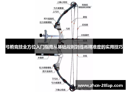 弓箭竞技全方位入门指南从基础规则到提高精准度的实用技巧