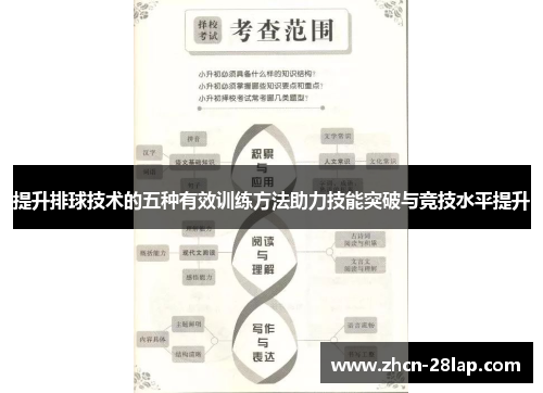 提升排球技术的五种有效训练方法助力技能突破与竞技水平提升