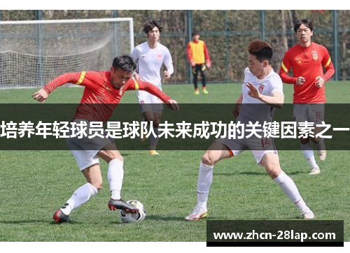 培养年轻球员是球队未来成功的关键因素之一