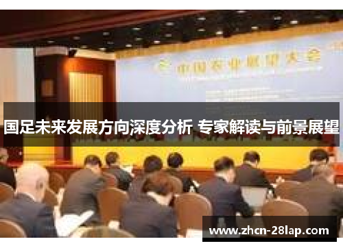 国足未来发展方向深度分析 专家解读与前景展望