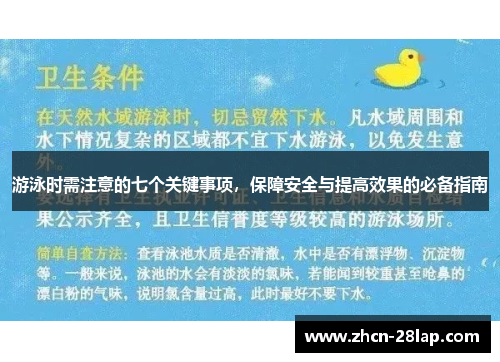 游泳时需注意的七个关键事项，保障安全与提高效果的必备指南