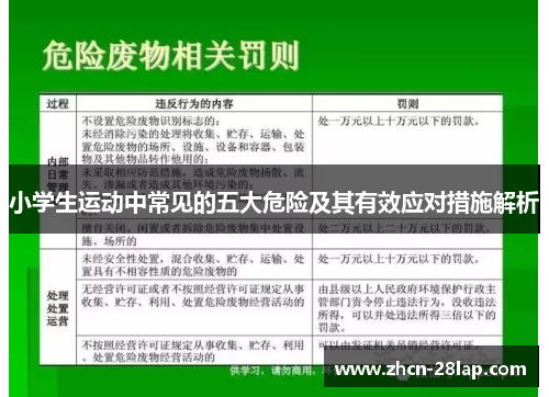 小学生运动中常见的五大危险及其有效应对措施解析