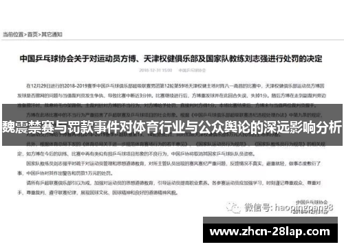 魏震禁赛与罚款事件对体育行业与公众舆论的深远影响分析