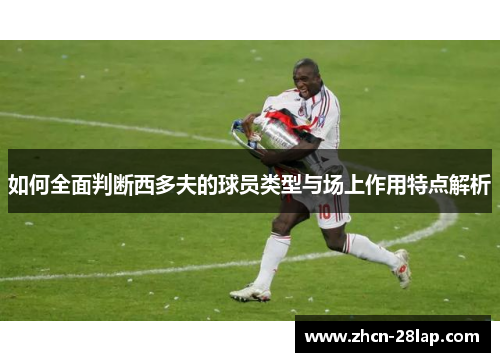 如何全面判断西多夫的球员类型与场上作用特点解析